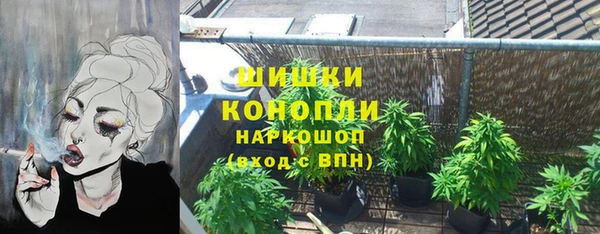 альфа пвп Няндома