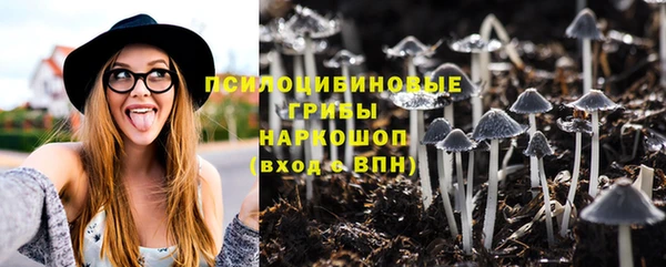 альфа пвп Няндома