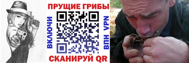 Псилоцибиновые грибы Psilocybe мега зеркало Змеиногорск